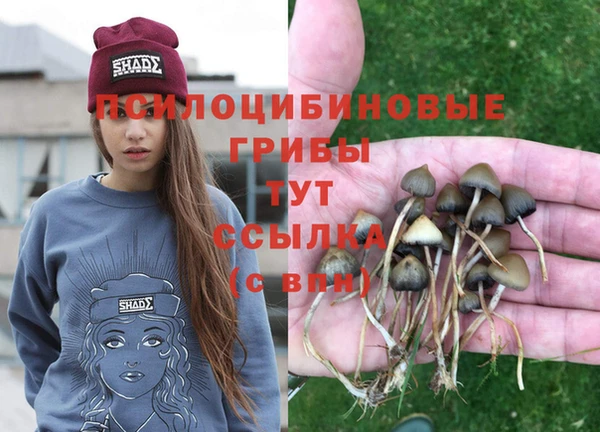 mix Армянск