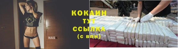 мяу мяу мука Баксан