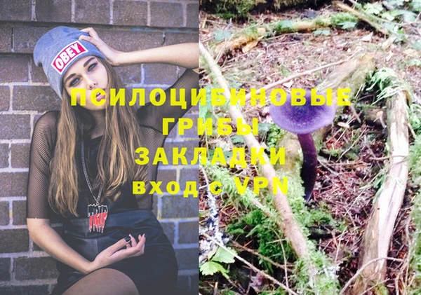соль ск Балабаново