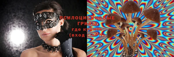 соль ск Балабаново
