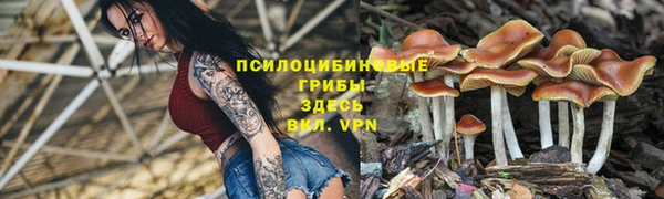 гашиш Балахна
